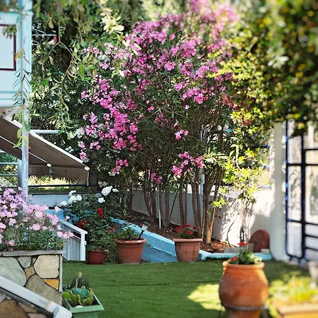 Aparthotel Panagiotis 3*