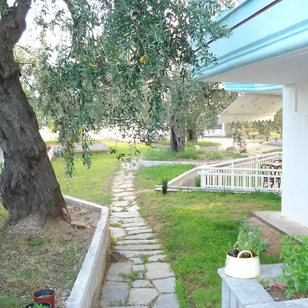 Panagiotis 2*