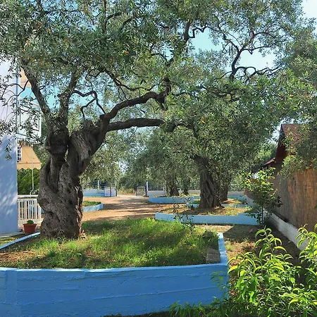 Panagiotis 3* Skala Sotiros