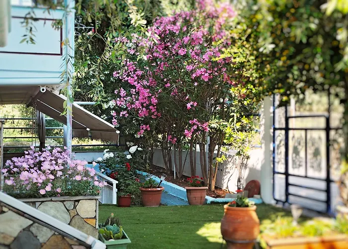 Lägenhetshotell Panagiotis 3*