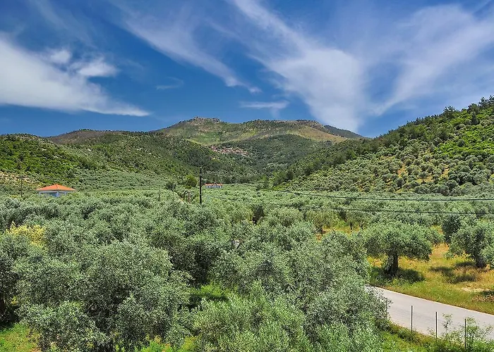 Panagiotis Σκάλα Σωτήρος