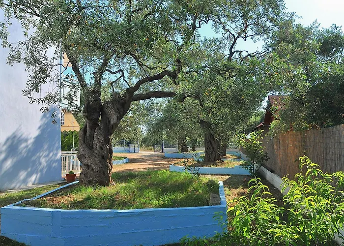 Panagiotis 3* Σκάλα Σωτήρος